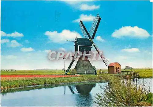 Cartes postales moderne Holland Molenland Land of Windmill Moulin a vent