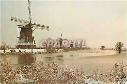 Cartes postales moderne Kinderdijk Holland Drainage mills of the Kinderdijk complex polder The Overwaard Moulin a vent