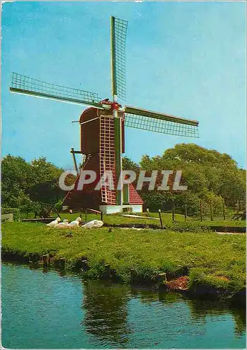 Cartes postales moderne Holland Land of Windmills Moulin a vent