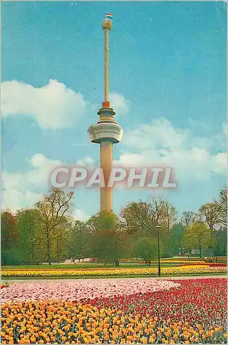 Cartes postales moderne Rotterdam Holland Euromast Space tower
