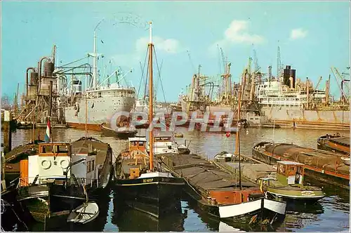 Cartes postales moderne Rotterdam the maashaven is a typical grainharbour transhipment installations consist of pontoon