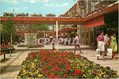 Cartes postales moderne Rotterdam Holland The Lijnbaan Rotterdams ultra modern shopping centre is a complex of flower an