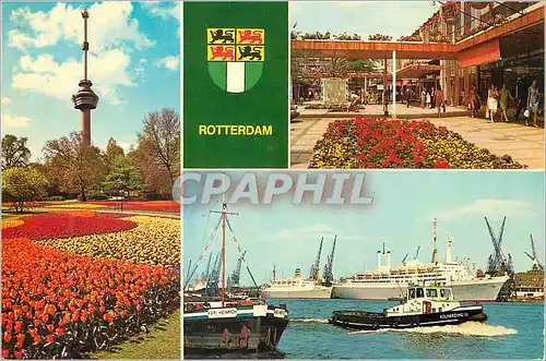 Cartes postales moderne Rotterdam Holland