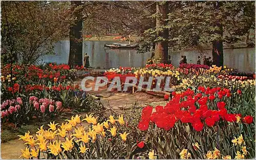 Cartes postales moderne Sluis Hollande