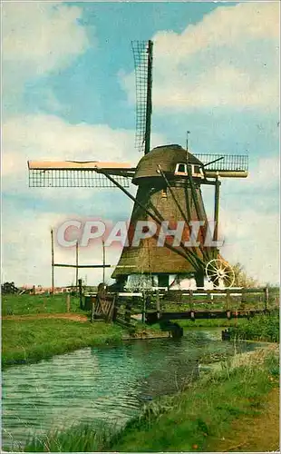 Cartes postales moderne Dutch Windmill Achtkantige Watermolen Hazerswoude