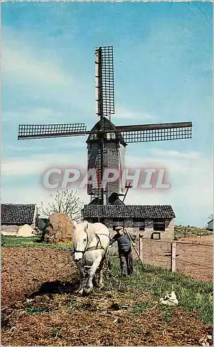 Moderne Karte Dutch Windmill