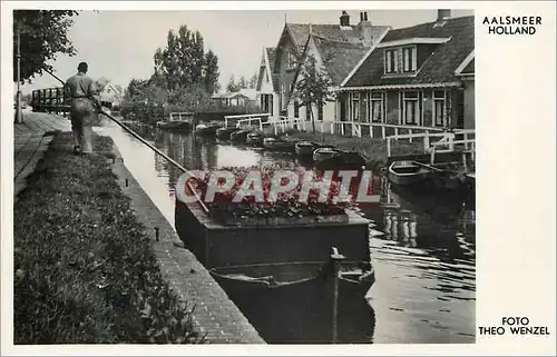 Cartes postales moderne Aalsmeer Holland