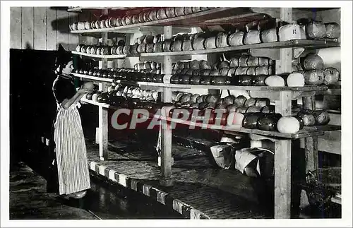 Moderne Karte Cheese drycaffold