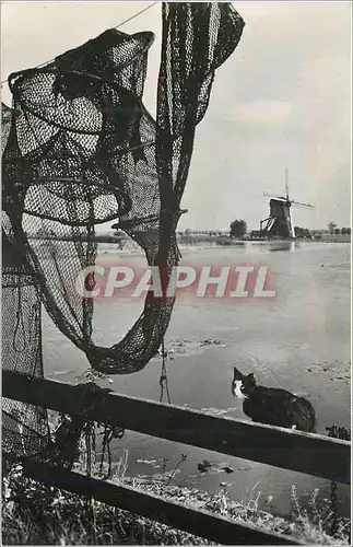 Cartes postales moderne Hollands Molenlandschap