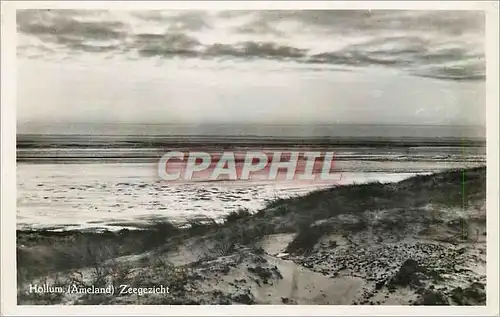 Cartes postales moderne Hollum Ameland Zeegerzicht