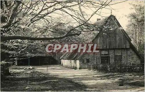 Cartes postales moderne Boerderij Beltrum Gelderland