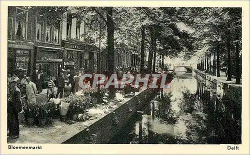 Cartes postales moderne Bloemenmarkt Delft