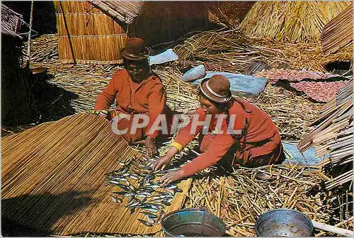 Cartes postales moderne Tipicas Cocinado en Euros Lago Titicaca Puno Peru