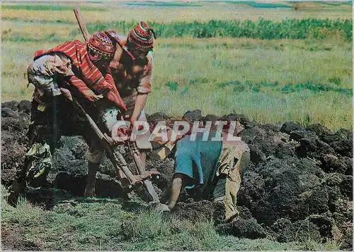 Cartes postales moderne Chaquitacjlla Arado Incaico Peasants tilling teh soil as in the Inca times centuries age Cusco P