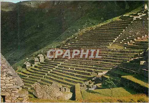 Cartes postales moderne Andenes Incaicos Inca Terraces for Agriculture Machupicchu Peru