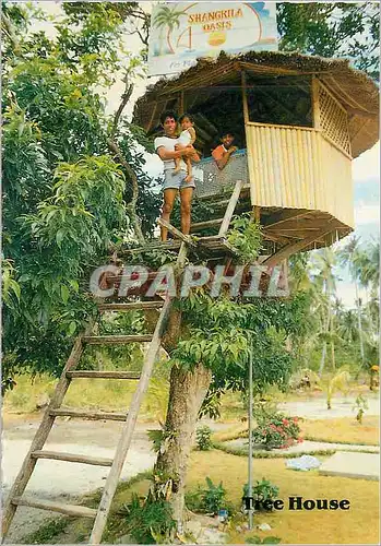 Cartes postales moderne Tree House Philippines