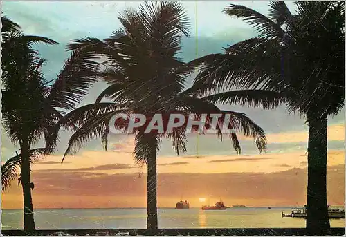 Cartes postales moderne Sunset at the Bay This World famous sunset is best viewed as one walks along Roxas Boulevard Phi