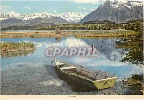 Cartes postales moderne Thunersee