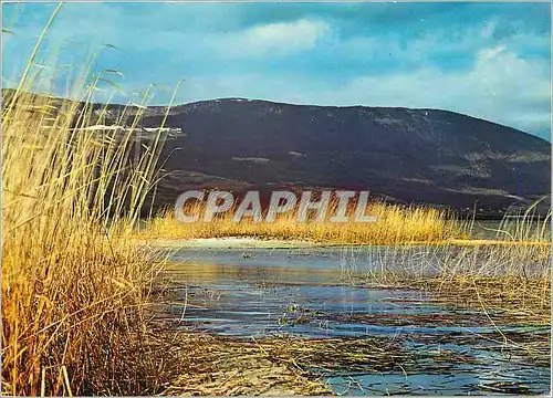 Cartes postales moderne Paysage