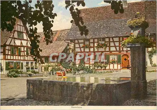 Cartes postales moderne Stammheim