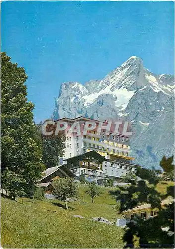 Cartes postales moderne Hotel Belvedere Grindelwald Berner Oberland Schweiz