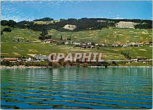Cartes postales moderne Motel InterEurop Cully pres Lausanne Route Montreux St Bernard