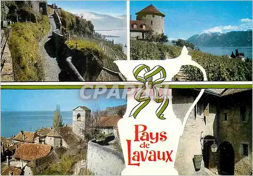 Cartes postales moderne Pays de Lavaux