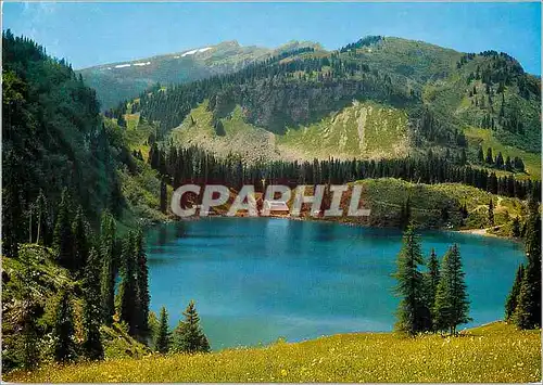 Cartes postales moderne Lac des Chavonnes au fond le Chamossaire