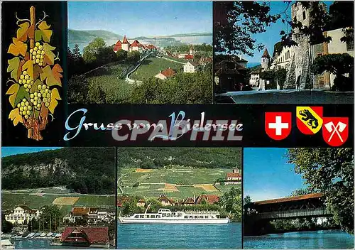 Cartes postales moderne Gruss vom Bielersee