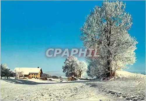 Cartes postales moderne Schweiz Winter Landschaft