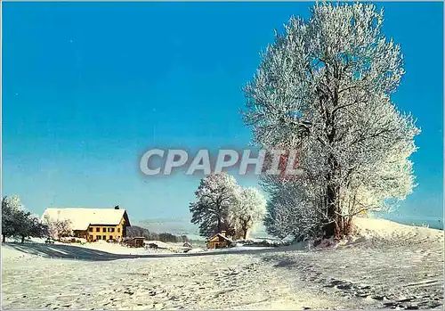 Moderne Karte Schweiz Winter Landschaft