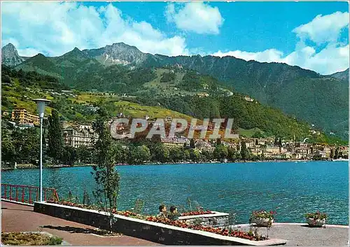 Cartes postales moderne Clarens Montreux Territet et Roches de Naye