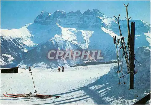Cartes postales moderne La Foilleuse sur MOrgins Valais Les Dents du Midi