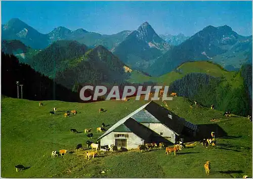Cartes postales moderne Panorama de Vounetz Charmey
