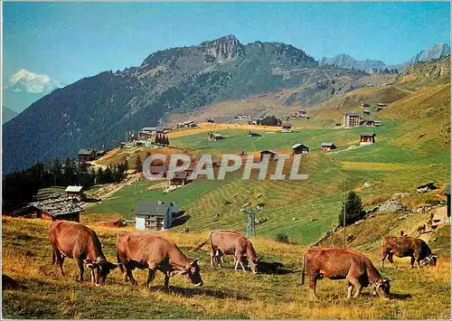 Cartes postales moderne Riederalp Wallis mit Weisshorn und Riederhorn