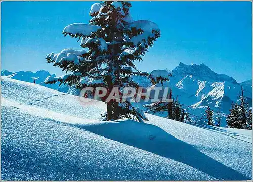 Cartes postales moderne Feerie hivernale