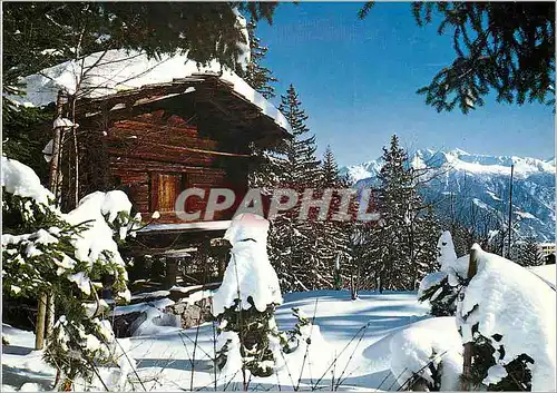 Cartes postales moderne Paysage d hiver