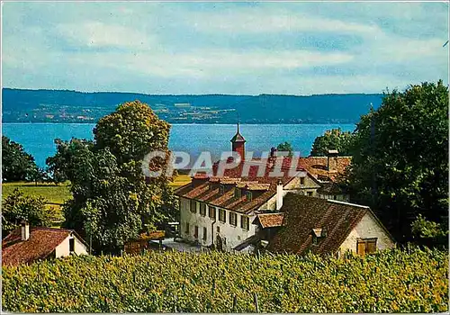 Cartes postales moderne St Petersinsel Bielersee Ile St Pierre Lac de Brenna