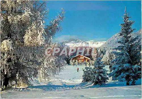 Cartes postales moderne Paysage d hiver sur le golf