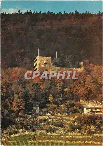 Cartes postales moderne La Neuveville Le Schlossberg