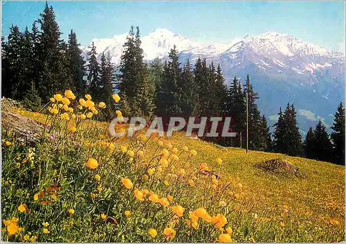 Cartes postales moderne Clambin sur Verbier au fond le Grand Combin