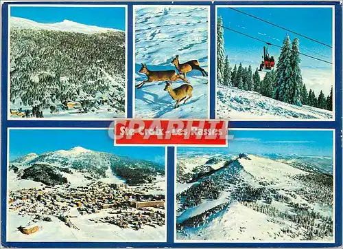 Cartes postales moderne Ste Croix Les Rasses