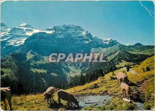 Cartes postales moderne Massif des Diabelerets vue de la region du Col de la Croix