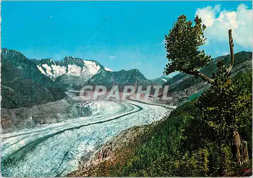 Moderne Karte Valais Parc national au glacier Aletsch