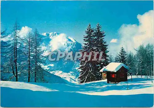 Cartes postales moderne Feerie hivernale