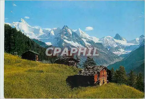 Cartes postales moderne St Luc l Alpage des Moyes avec le Rothorn Obergabelhorn et le Carvin