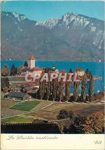 Cartes postales moderne Vue sur Splez et le Sigriswillergrad