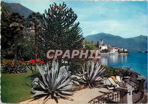 Cartes postales moderne Brissago Lago Maggiore