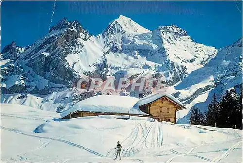 Cartes postales Im sonnigen Skigelande der Sesselbahn Kandersteg Oeschinen mit Blumisalgruppe
