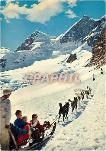 Cartes postales Jungfraujoch Rottalhorn und Jungfrau Polarhunde Luge Chiens